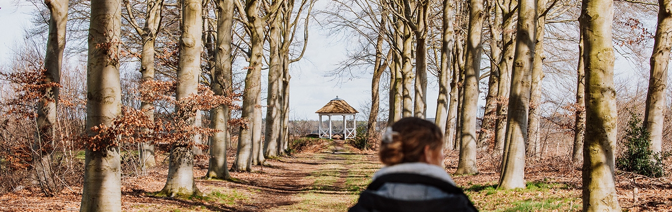 Discover Vincent van Gogh s Brabant the place he felt most at